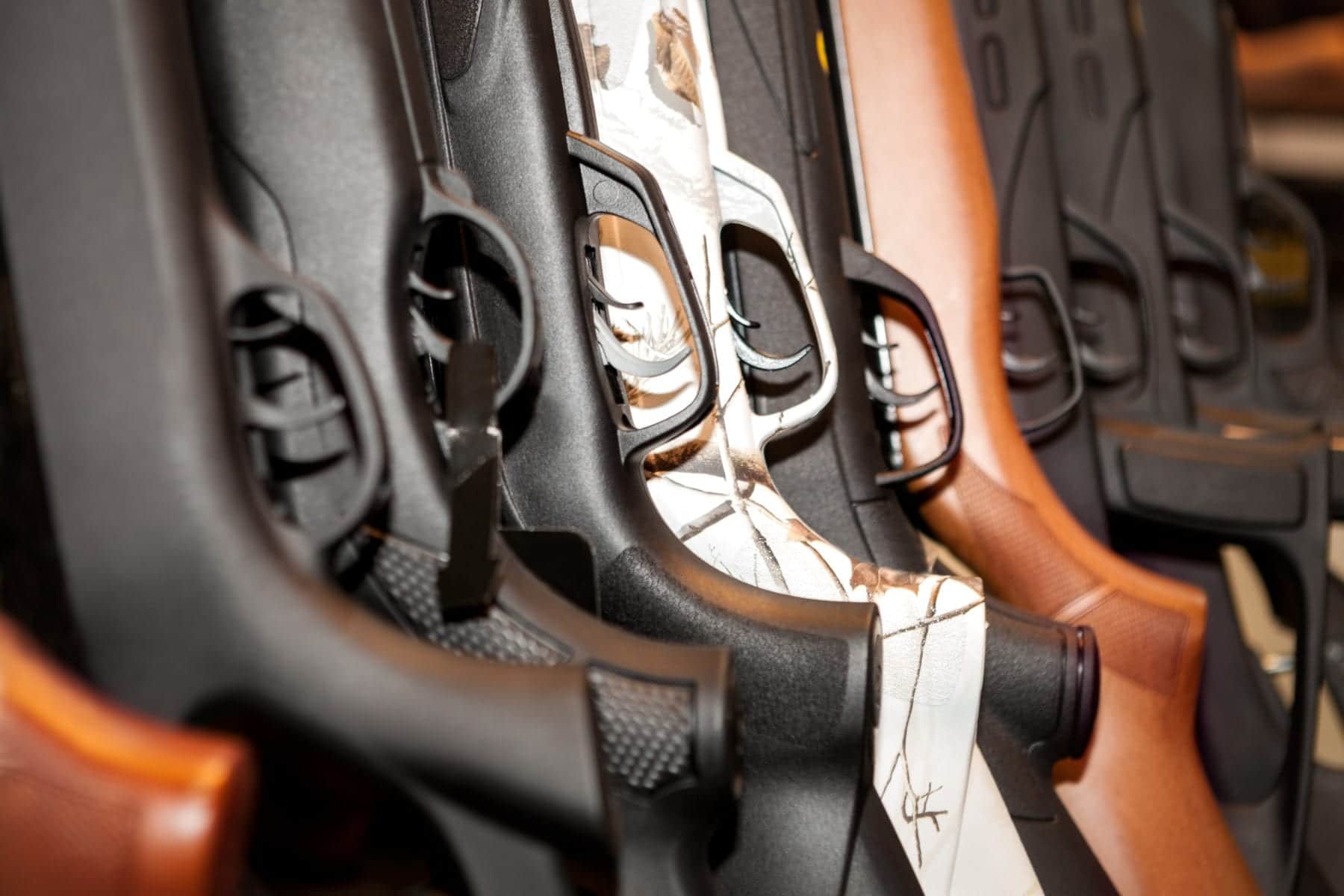 Convicted Felons May Not Inherit Firearms in Florida