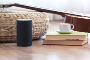 Hey Google, Can Police Access My Smartspeaker Voice Recordings?