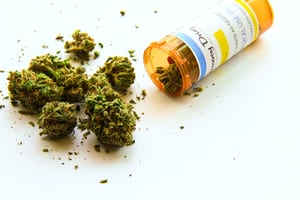 Florida Passes Medical Marijuana – What Happens Now?