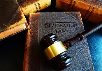 Immigration Consequences of a Conviction