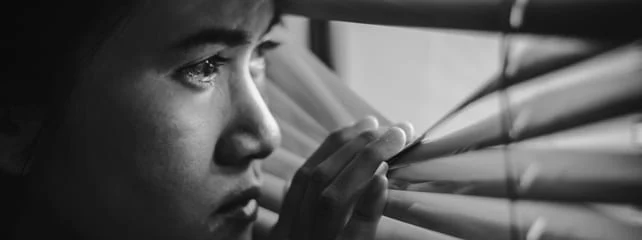 federal harboring a fugitive charges